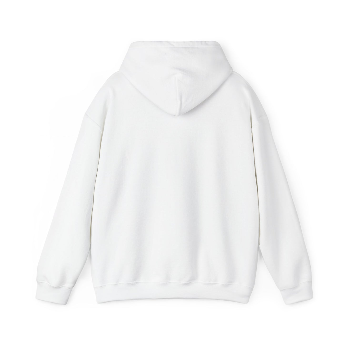 Paranoid Presidents Hooded Sweatshirt